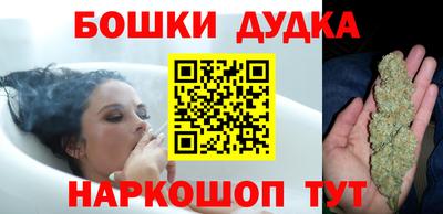 шишки Славгород
