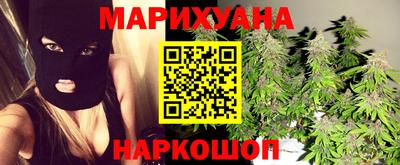 шишки Славгород