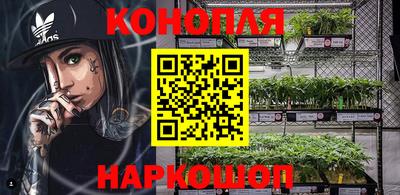 шишки Славгород