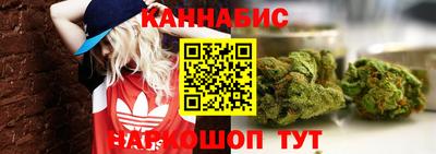 шишки Славгород