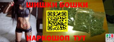 шишки Славгород