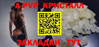 шишки Славгород