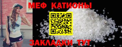 шишки Славгород