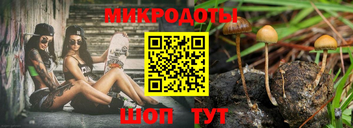 Самара  Псилоцибиновые грибы Psilocybe  Псилоцибиновые грибы мухоморы  Вход с VPN 