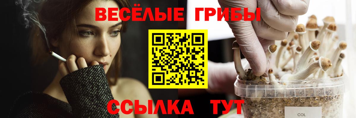 Псилоцибиновые грибы мухоморы Самара